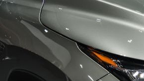 shutterstock_1255210399