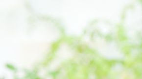 shutterstock_155600579