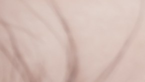 shutterstock_279352529