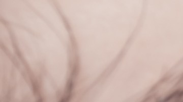 shutterstock_279352529