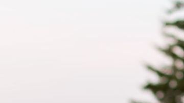 El abrazo dejó una costilla rota y el descubirimiento de una terrible enfermedad.