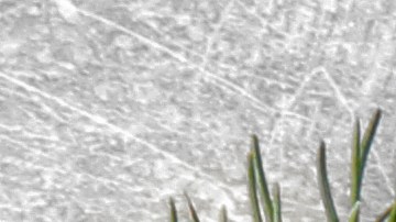 shutterstock_473473087