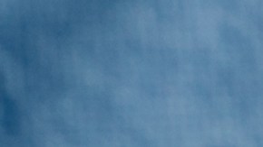 A muchos miembros se les negó la cobertura de la mamoplastia, un procedimiento que forma parte de la cirugía de reasignación de género.