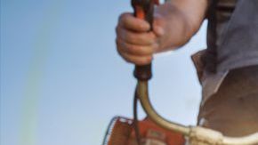 Si quieres que tu jardín luzca reluciente en primavera, debes comenzar a cuidarlo ahora mismo.