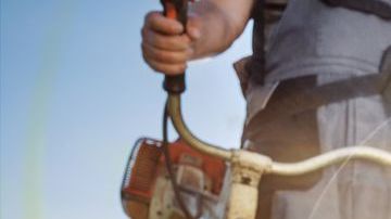 Si quieres que tu jardín luzca reluciente en primavera, debes comenzar a cuidarlo ahora mismo.