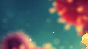 Es mu fácil contagiarse de esta peligrosa enfermedad.