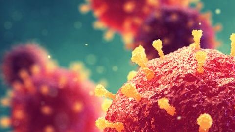 Es mu fácil contagiarse de esta peligrosa enfermedad.