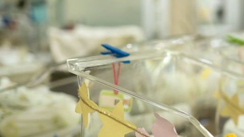 Por fortuna, el bebé se recupera satisfactoriamente.