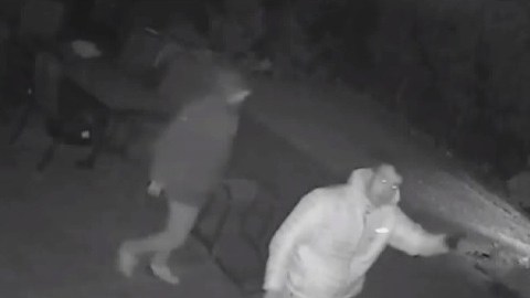 Imagen de los sospechosos