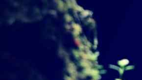 Michael Carroll excavó durante tres años en el sótano de su casa para descubrir la verdad. (Foto ilustrativa)