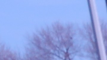 Compañía de taxis en Queens presenta innovador programa de seguro para sus conductores.