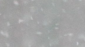 Nieve empieza  a caer en Nueva York con bajas temperaturas.