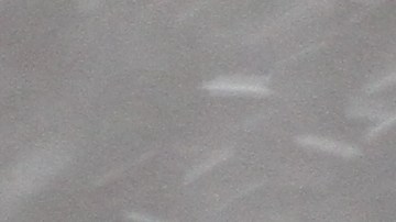 Nieve empieza  a caer en Nueva York con bajas temperaturas.