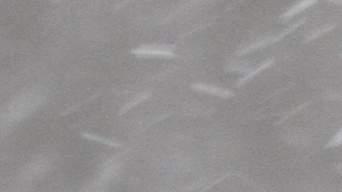Nieve empieza  a caer en Nueva York con bajas temperaturas.