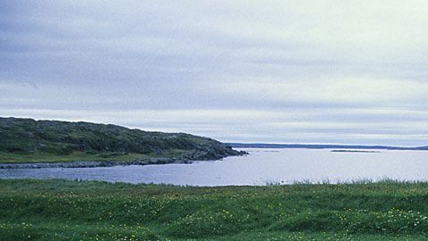 Cuando Helge Ingstad y Anne Stine llegaron a L'Anse aux Meadows era una comunidad de unas 70 personas.
