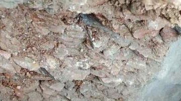 Los bomberos han introducido cámaras en el agujero.