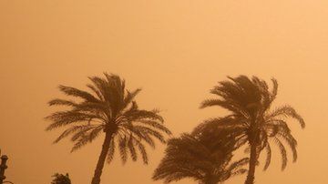 Un hombre camina cerca del Río Nilo el miércoles.