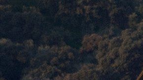 105241239_gettyimages-1083465690-594x594