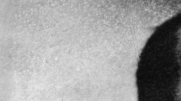 Hawley Harvey Crippen se convirtió en una celebridad por el horrible crimen.