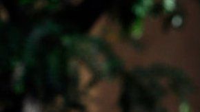 105339828_gettyimages-839985896