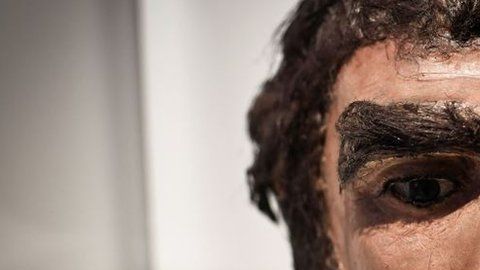 Los neandertales vivieron en Europa y el suroeste y centro de Asia.