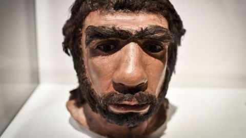 Los neandertales vivieron en Europa y el suroeste y centro de Asia.