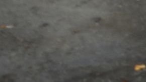 12/12/18/ LOS ANGELES/2 year old Jacob Rico with his mother joined hundreds of Catholic faithful during the celebration to Lady Guadalupe outside La Placita Church in Olvera St. (Photo Aurelia Ventura/ La Opinion)