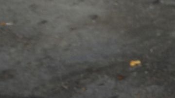 12/12/18/ LOS ANGELES/2 year old Jacob Rico with his mother joined hundreds of Catholic faithful during the celebration to Lady Guadalupe outside La Placita Church in Olvera St. (Photo Aurelia Ventura/ La Opinion)