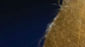 Trump acusa a los países del Triángulo del Norte