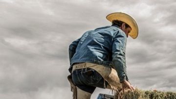 Las ventas de SUVs de Ford rompen récord en ventas