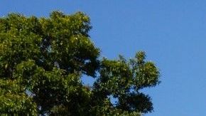 "Seguimos aprendiendo", dice Walmart