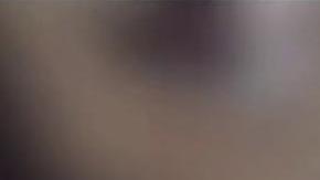 El acompañante viajaba tranquilo, sentado al lado de su dueña.