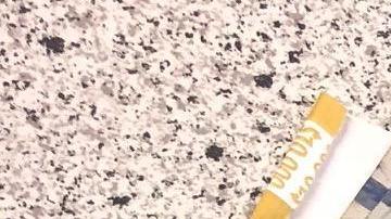 Diez mill dólares fueron hallados en un bolso.