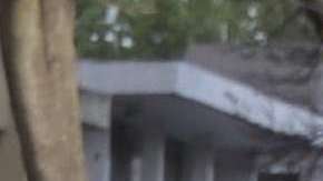 Los desaparecidos en México se cuentan por decenas de miles.