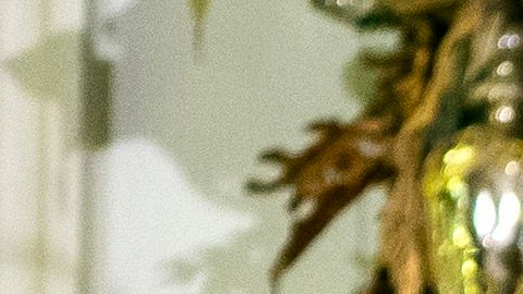 La Primera Dama celebró el Año Nuevo en Florida.