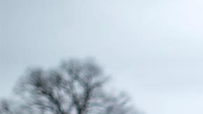 El gobierno está cerrado desde el 22  de diciembre.