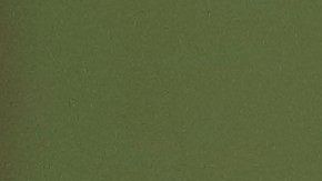 El Brujo Mayor de México ofrece sus predicciones anuales.