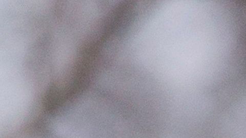 Trump con el vicepresidente Mike Pence en el Rose Garden de la Casa Blanca.