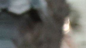 Padres acuden a retirar a sus hijos en medio de fuerte presencia policial