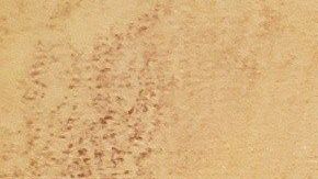 "El Chapo" huyó durante muchos años en las montañas.