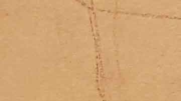 La "Chapodiputada" narra su relación de amor y narcotráfico con Guzmán