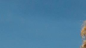 El tenista griego Stefanos Tsitsipas eliminó a Roger Federer del Abierto de Australia.