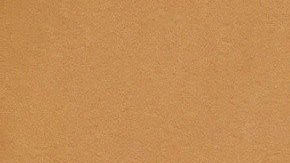 "Memín" fue uno de los pilotos de Guzmán Loera.