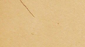 "El Chapo" escuchó el contundente argumento de la ayudante de la Fiscalía.