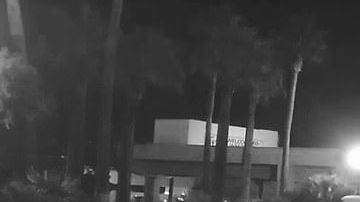 No se sabe si el Tesla en verdad derribó al robot o éste se cayó por sí solo