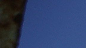 Los inmigrantes más afectados son aquellos que por ley dependen de una fecha específica para que sus casos sean aceptados.