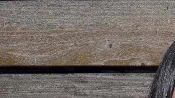 Hablar español ha sido un punto a favor de Mariel Colón.