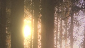 Foto tomada con un iPhone 6s.