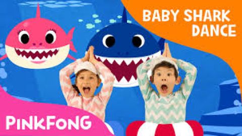 baby-shark