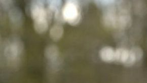 James Longman es un reportero de la BBC que comparte su testimonio sobre la preocupación que ha tenido por heredar una enfermedad mental.